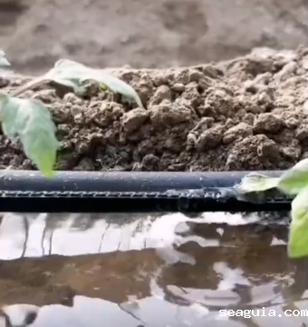 山东世界杯直播网站节水设备