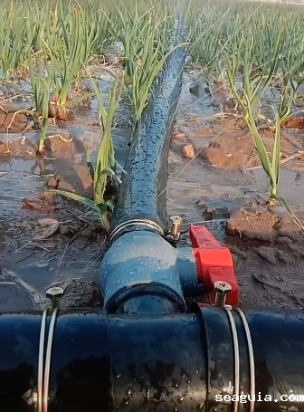 山东微喷带厂家