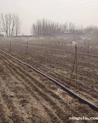 山东地插微喷销售