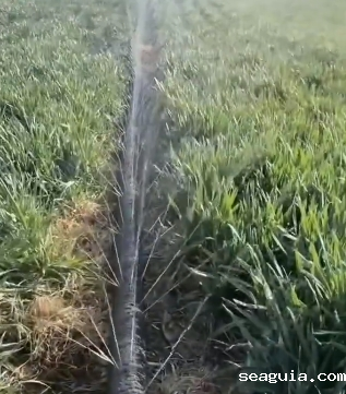 山东微喷带厂家