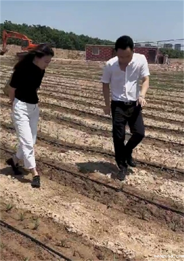 滴灌带连接厂家