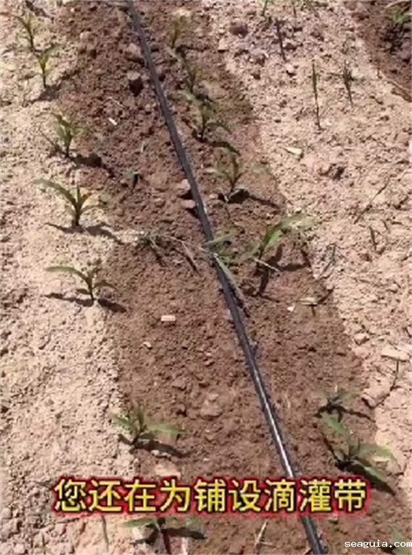 菏泽滴灌带连接